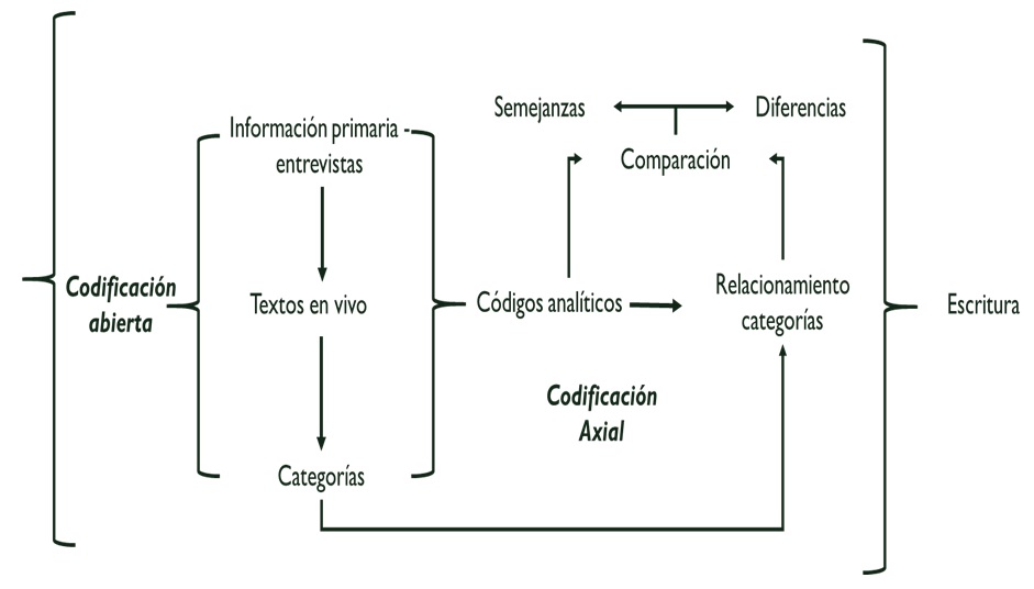 Proceso de codificación y análisis de información.