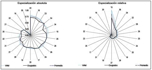 Concentraci&oacute;n absoluta y relativa por rama de actividad (2008-2009)7