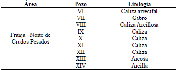 Pozos utilizados y su litología principal.
