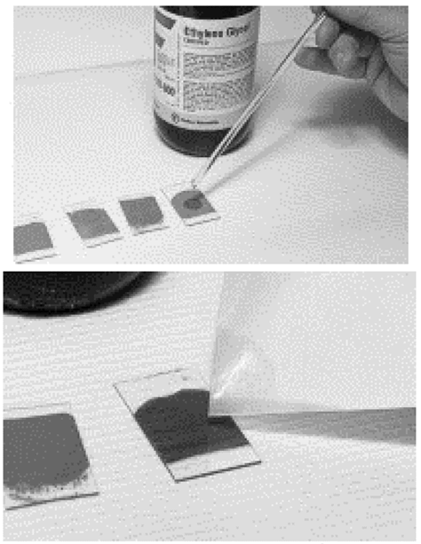 Procedimiento del método rápido con etilenglicol