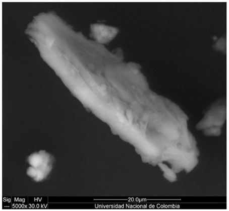 Micrografías de la muestra