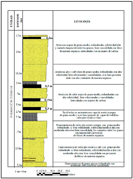 Columna estratigr&aacute;fica detallada de la formaci&oacute;n Cuervos en la mina la Lomita. N&oacute;tese la presencia de los cuatro mantos de carb&oacute;n.