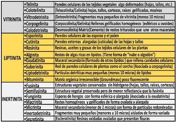 Comparaci&oacute;n del origen de los tres principales tipos de Macerales y grupos Sub-Macerales