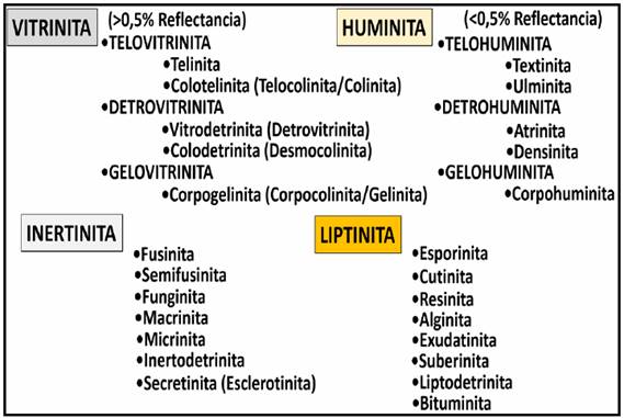 Tipos de Macerales y grupos Sub-Macerales donde se detalla la diferencia termal entre la Vitrinita y la Huminita.