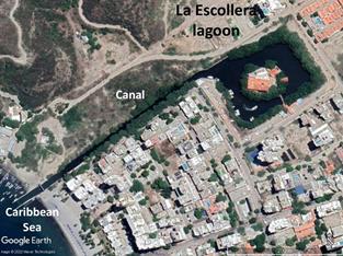 La Escollera lagoon (11°12'32,83'' N, 74°13'31,68 W). Scale: 200 m.