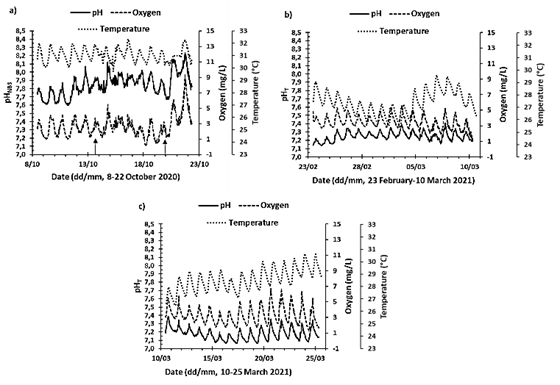 Time series of temperature (°C), dissolved oxygen concentration (DO mg/L), and pH, measured in the artificial lagoon La Escollera during implementations 6, 13 and 14 (approximately fortnightly). For implementation 6 (October 8-22, 2020) the pH is presented in NBS scale, while for the others it is presented in Total scale, since for the first the ETRIS experiment with temperature had not been carried out. Arrows in a) represent heavy rainfall during the day, regardless of intensity or duration.