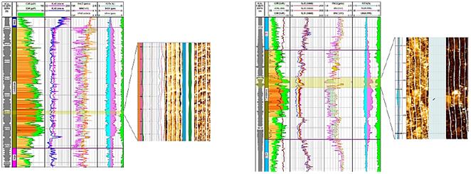 Registro compuesto del pozo LIT a la izquierda, con la imagen FMI; en la parte derecha est&aacute; representado el pozo VDW-1001 con la imagen FMI.