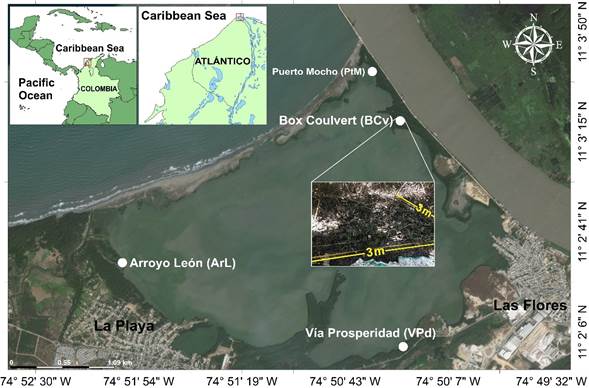 Location of the CM and surveyed sites inside the mangrove forest with a 9 m2 quadrant in each of the sample points.