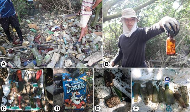 Different kinds of ML were collected in the mangrove forest of the Ciénaga de Mallorquín. Items: plastic (A), glass containers (B), rubber footwear (C), food packaging (D), remains of fishing gear (E), and medicine containers (F).