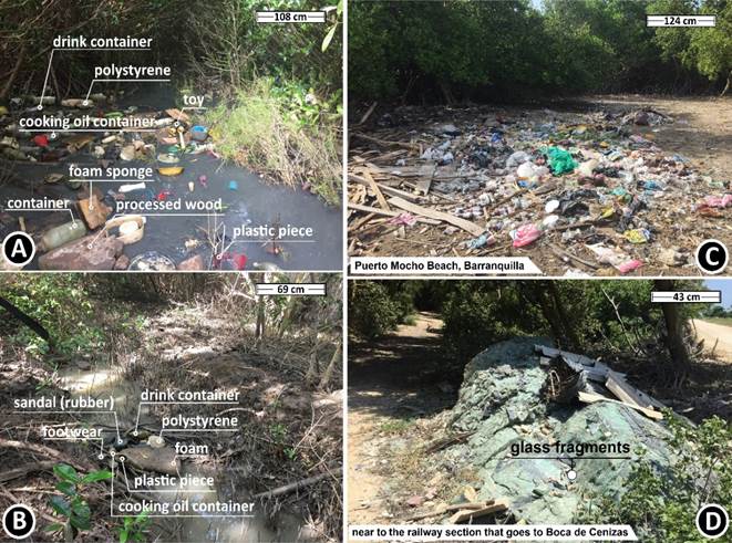 Evidence of marine litter from the estuaries of a) the Arroyo León Stream near site ArL, b) the Magdalena River near site BCv, and c) litter dumps near the mangrove forest.