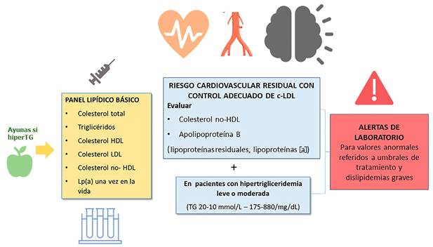 Recomendaciones b&aacute;sicas para el informe de perfil lip&iacute;dico en laboratorios cl&iacute;nicos espa&ntilde;oles