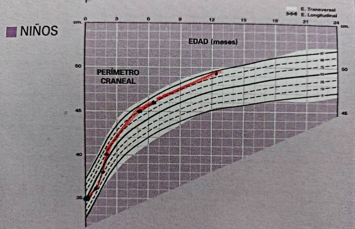 Curva de crecimiento del per�metro cef�lico del paciente durante el primer a�o. Se observa que a los 12 meses ya alcanzo m�s de dos desviaciones est�ndar para su sexo y edad