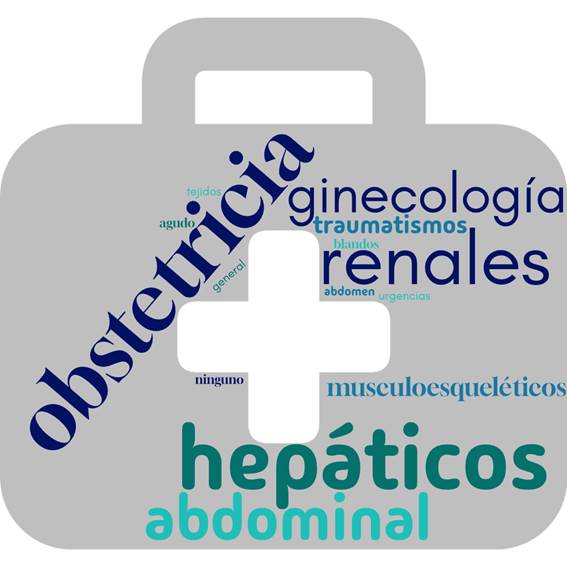 Posibles aplicaciones clínicas básicas de uso de la ecografía en su entorno laboral