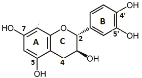 Structure of (+)-catechin