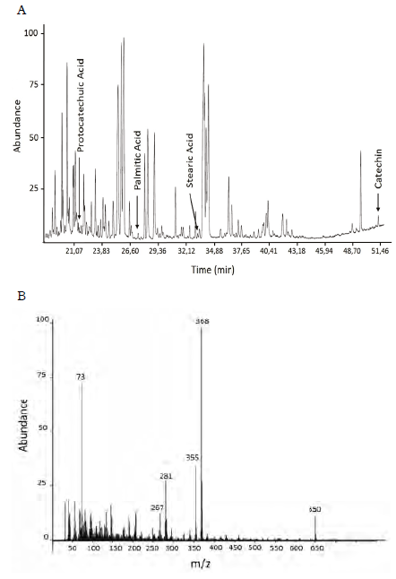 GC-MS of
fraction F5. A. Gas chromatogram of F5. B. Mass spectrum of catechin eluted at
51.46 minutes.