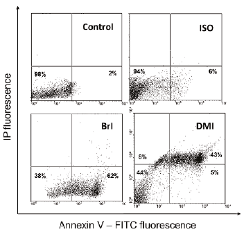 Promotion of apoptosis in neutrophils
by isoespintanol and related compounds. Representative dot plots of annexin
V-FITC (An) /propidium iodide (PI) staining. The lower left quadrant shows the
vital (double negative) population. The lower right quadrant shows the
apoptotic (An+/PI–) population. Finally, cells in the top right quadrant
(An+/PI+) are in later stages of apoptosis and necrosis. Graph shows the
experiment of the compounds at 100 µM. Data are representative of three
experiments.