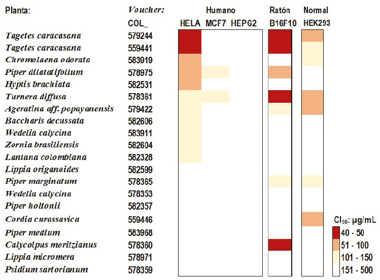 Tendencia a
actividad antiproliferante de los aceites esenciales.
Las muestras se organizaron en orden descendente con respecto al rango de la CI50
en c&eacute;lulas HELA. La tendencia a actividad antiproliferante
es mayor cuanto mayor la intensidad del color. C&eacute;lulas de origen humano: HELA,
c&aacute;ncer de c&eacute;rvix; MCF7, gl&aacute;ndula mamaria; HEPG2, hepatoma.
(B16F10, melanoma de rat&oacute;n. HEK293, c&eacute;lulas humanas de ri&ntilde;&oacute;n embrionario
tratadas despu&eacute;s de la proliferaci&oacute;n (tratamiento b) como referente de
actividad citotoxica de cada aceite esencial.