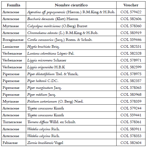 
Plantas usadas en el estudio.