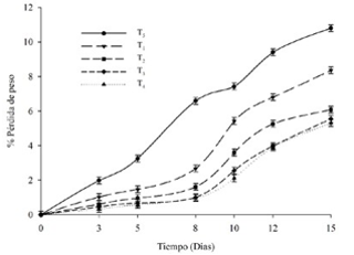 Efecto del tiempo de almacenamiento a 4°C sobre la pérdida de peso de mora de castilla en diferentes
tratamientos.