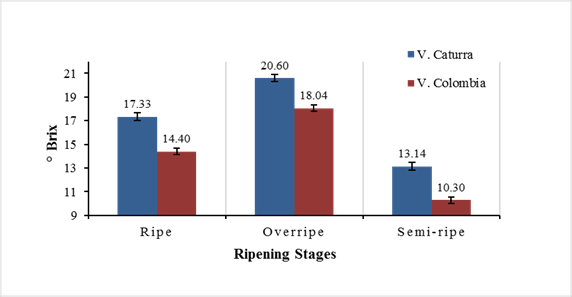 Sugar concentration in coffee fruits of the varieties Caturra and Colombia with different development stages.