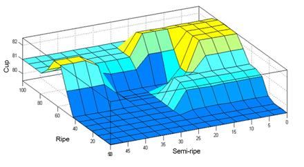 Response surface of the cup for the interaction of proportions of ripe and semi-ripe fruits in variety Colombia.