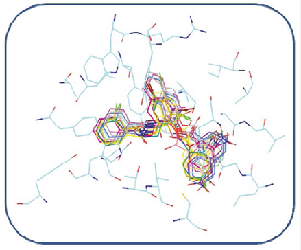 Alignment of the best conformations of all compounds identified as hit in our pharmacophoric model within the LasR binding site