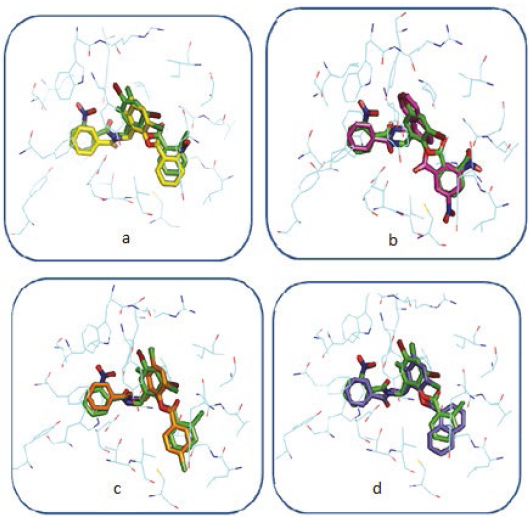 The best conformation of four of the compounds identified as possible agonists, superimposed on the co-crystallized conformation of TP-1.