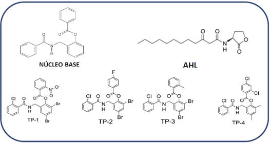 Structure of the molecules with nucleus with base 2-(benzamidomethyl) phenyl benzoate, TP-1, TP-2, TP-3 y TP-4. The structure of the native ligand (signal molecule) for LasR independent highlighting process, AHL is included as reference.