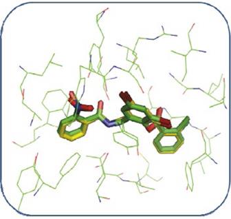 Alignment between the TP-1 ligand present in the co-crystallized complex (green) and the coupled ligand (yellow) using the AutoDock 4.2 program.