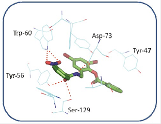 Interactions between some aminoacids of the active site of LasR and TP-1. The amino acid Tyr-47, has a small interaction with the bromine atom in the meta position of ring number 2
