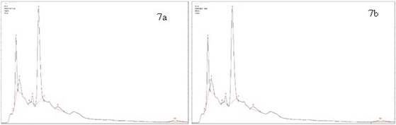 HPLC chromatogram of Lipton®: a) Hot tea extract, peak identification: 1. Trigonelline, 2. Gallic acid, 3. EGC, 4. Catechin, 5. Chlorogenic acid, 6. Caffeine, 7. EC, 8. EGCG, 9. Ferulic acid, 10.ECG; b) Cold tea extract, peak identification: 1.Trigonelline, 2. Gallic acid, 3. EGC, 4. Catechin,5. Chlorogenic acid, 6. Caffeine, 7. EC, 8. EGCG, 9.ECG.