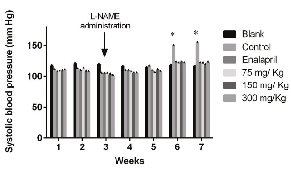Values of systolic blood pressure in Wistar rats treated with: (1) L-NAME (10 mg/kg, i.p.) plus EtOH extract of P. quadrangularis L (75, 150 and 300 mg/kg/day, p.o.), (2) L-NAME plus enalapril (reference drug, 10 mg/kg/day, p.o.), (3) L-NAME plus vehicle (control; 10% propylene glycol, 10% glycerine and 2% polysorbate, 0.1 mL/100 g, p.o.) and (4) vehicle without L-NAME (blank). Results are expressed as means &plusmn; S.E.M. *p<0.05, with respect to the control group.