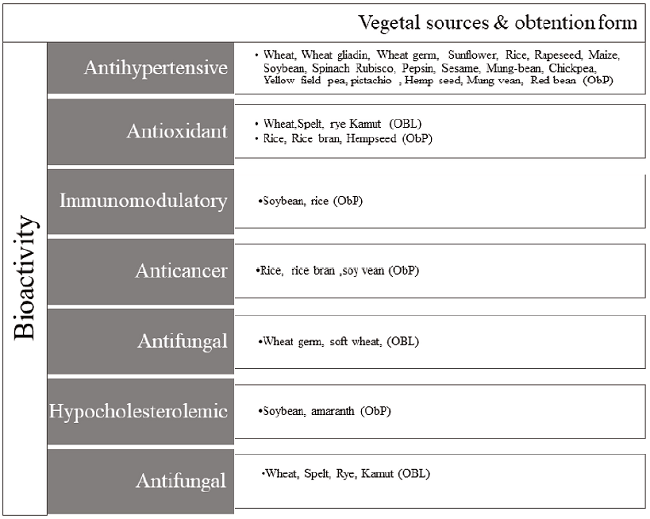Principal functions and sources of vegetal bioactive peptides, utilized in restructured functional meat products. Adapted from: (32). ObP: obtained by proteases, OBL: Obtained by Lactic acid Bacteria fermentation.