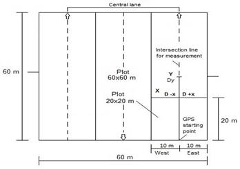 Permanent Sampling Plot