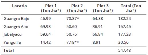Carbon content in the evergreen montane Andean forest (BSVAM)