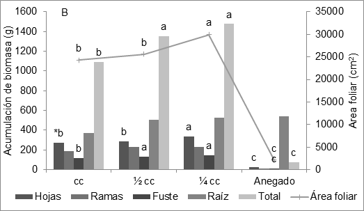 Efecto del estrés hídrico sobre la producción de hojas y la acumulación de biomasa en los diferentes órganos del E. gradis, bajo condiciones contrastantes de clima, A. Palmira (23.5o C), B. Restrepo (18º C) Los datos corresponden a promedios globales de los genotipos. *Valores con la misma letra no difieren significativamente.
