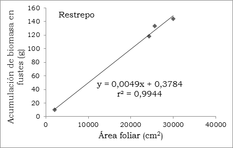 Relación entre el área foliar y la acumulación de biomasa en fustes en cuatro genotipos de E grandis. Datos globales tomados en Palmira (23º C) y Restrepo (28º C), Valle del Cauca. Los datos corresponden a promedios globales entre tratamientos y genotipos.