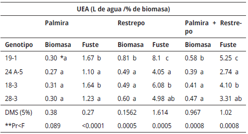 Eficiencia en el uso del agua (UEA) de cuatro genotipos de E. grandis evaluados bajo condiciones de Palmira (23.5º C), Restrepo (18º C), y combinado las dos localidades.