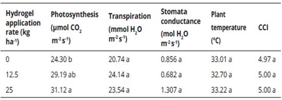 Effect of the hydrogel application rate on the physiological activity of forage maize (Zea mays L.)