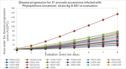 Tolerance levels of 21 avocado accessions against P. cinnamomi strain Ag A-041 according to the AUDPC.