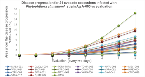 Tolerance levels of 21 avocado accessions against P. cinnamomi strain Ag A-003 according to the AUDPC.