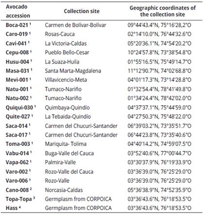 Avocado accessions selected for the study and collection site