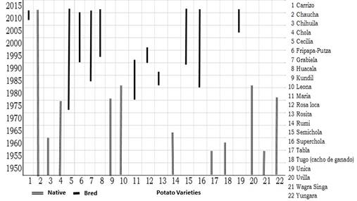 Evolution of potato varieties in Apatug, Ecuador