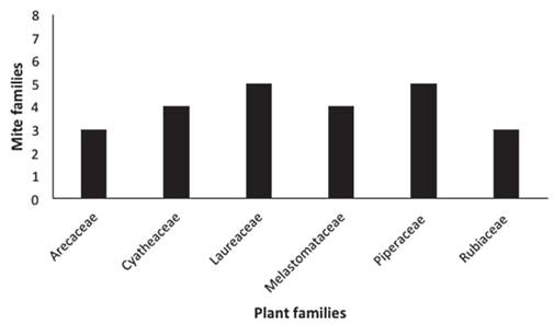 Number of mite suborder Prostigmata families associated to soil, by treatment.