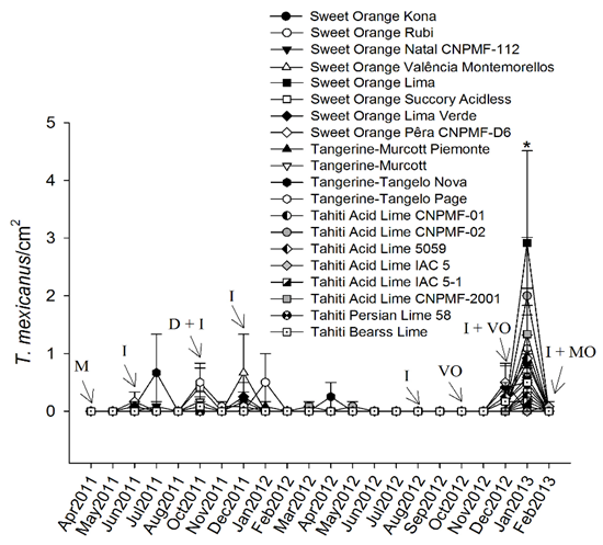 Seasonal changes in the abundance of the mite Tetranychus mexicanus on leaves of twenty scion cultivars grafted on Rangpur lime.