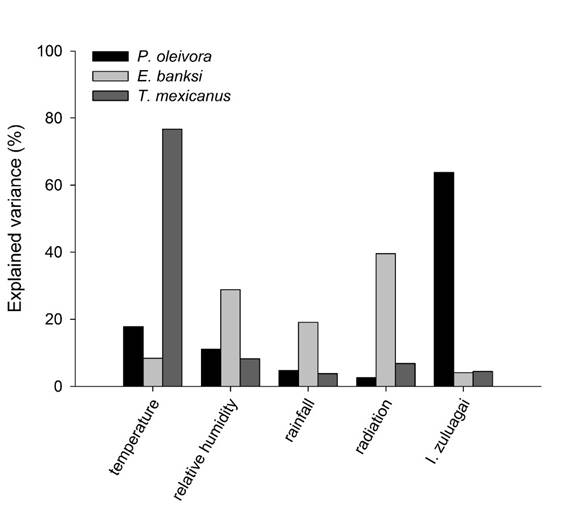 Percentage of explained variance of biotic and abiotic variables for the abundance of the pest mites Phyllocoptruta oleivora, Eutetranychus banksi, and Tetranychus mexicanus.