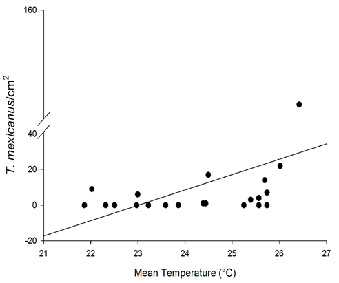 Relationship among the population of the mite Tetranychus mexicanus and mean temperature (y = -10.003 + 0.459x; R2 = 0.21, df = 1, 19; F = 5.337, P = 0.032). Untransformed data are shown.