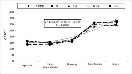 Effect of N doses on K accumulation in banana plant per stage of development