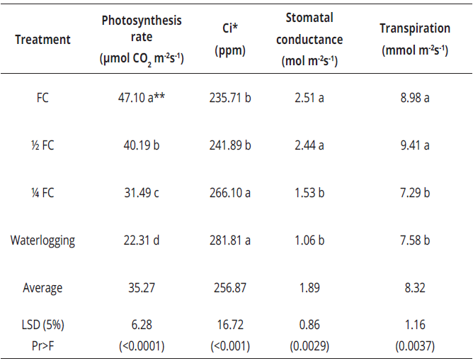 Photosynthetic response of E. grandis to soil water availability in Palmira, Valle del Cauca, Colombia (average temperature of 23.5&deg;C). Highly significant statistical differences were observed. Data correspond to the average of all genotypes per treatment. 