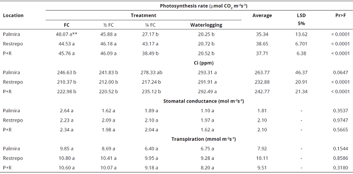 Effect of water stress on gas exchange in E. grandis genotype 19-1 in Palmira, Restrepo, and Palmira-Restrepo (P+R), Valle del Cauca, Colombia.
